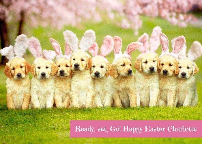 Personalised Puppy Easter Bunny Card