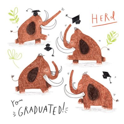 Graduation Card - Animals - Elephant