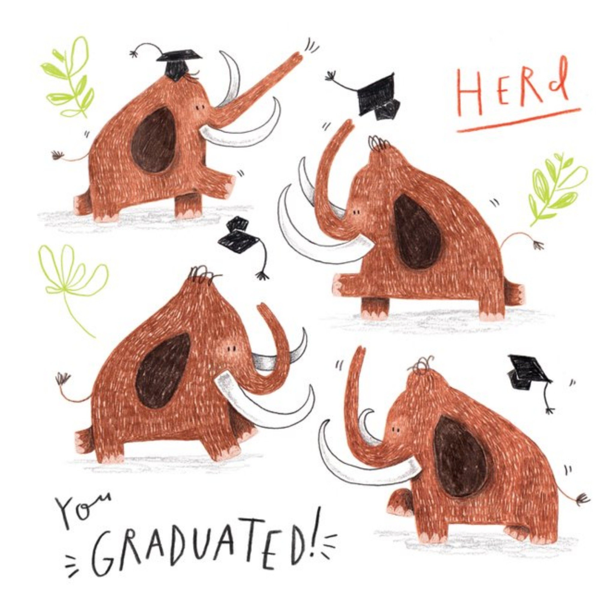 Graduation Card - Animals - Elephant, Square