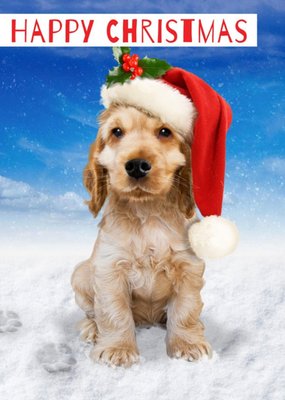 Cute Puppy In Santa Hat Christmas Card