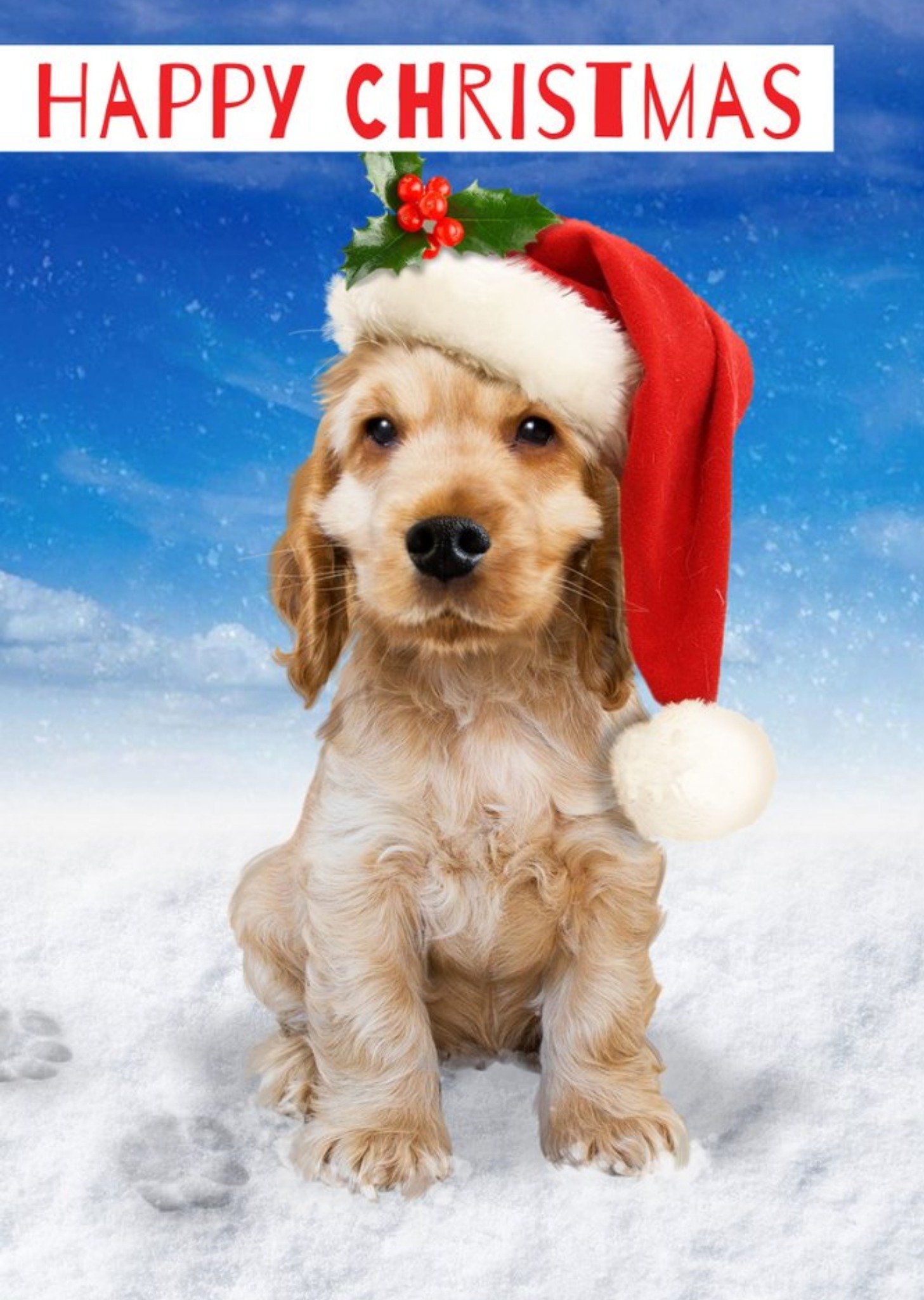 Cute Puppy In Santa Hat Christmas Card Ecard