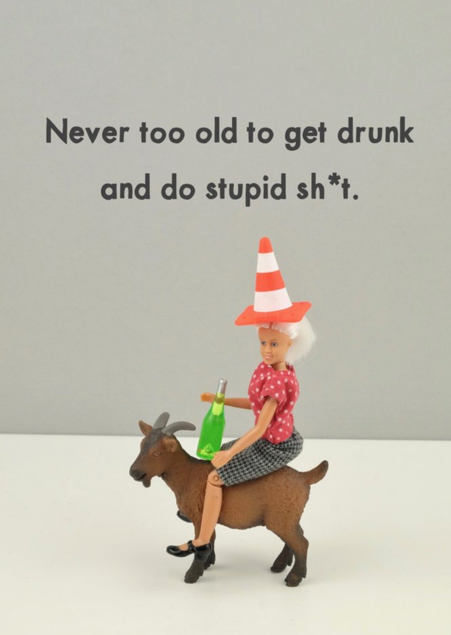 Bold And Bright Funny Never Too Old To Get Drunk Card, Large