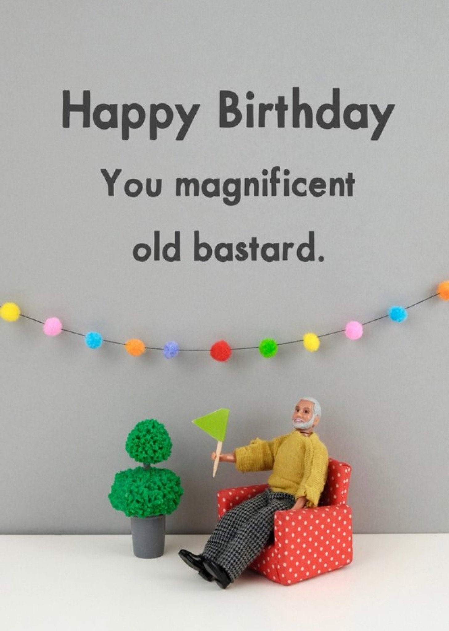 Bold And Bright Funny Dolls Magnificent Old Age Birthday Card