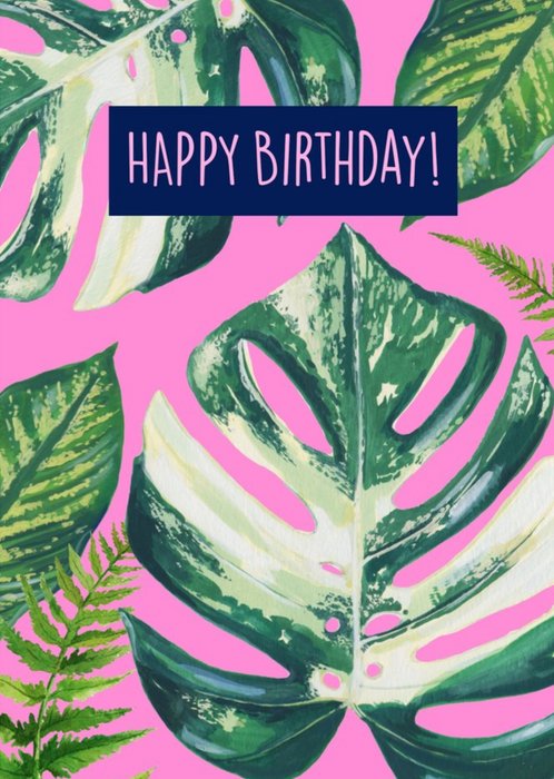 Houseplant Pink Birthday Card