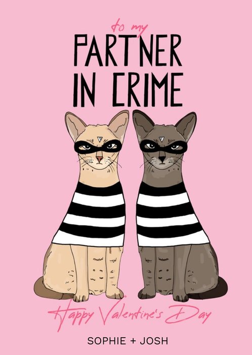 Pearl and Ivy Valentine's Cats Burglars Modern Funny Card