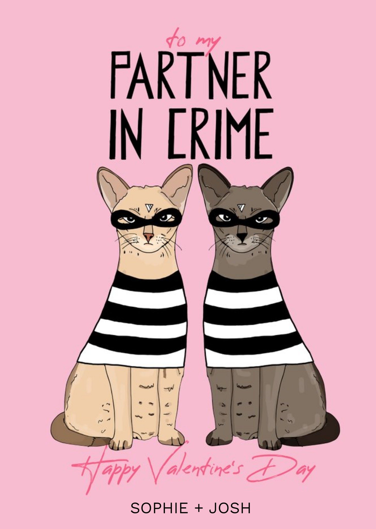 Pearl And Ivy Valentine's Cats Burglars Modern Funny Card Ecard