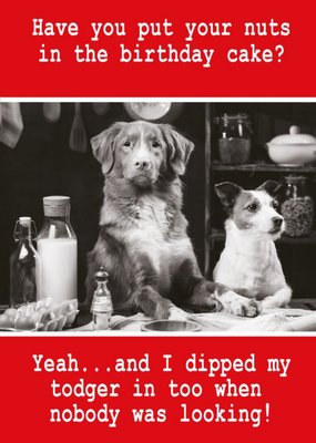 Quitting Hollywood Paw Play Dog Birthday Funny Card
