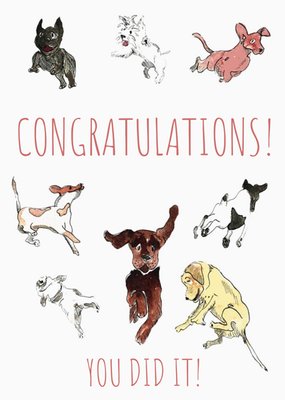 Watercolour Illustration Multiple Dogs Congratulations Card