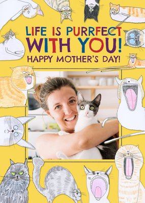 Quirky Illustrations Of Cats Humorous Photo Upload Mother's Day Card
