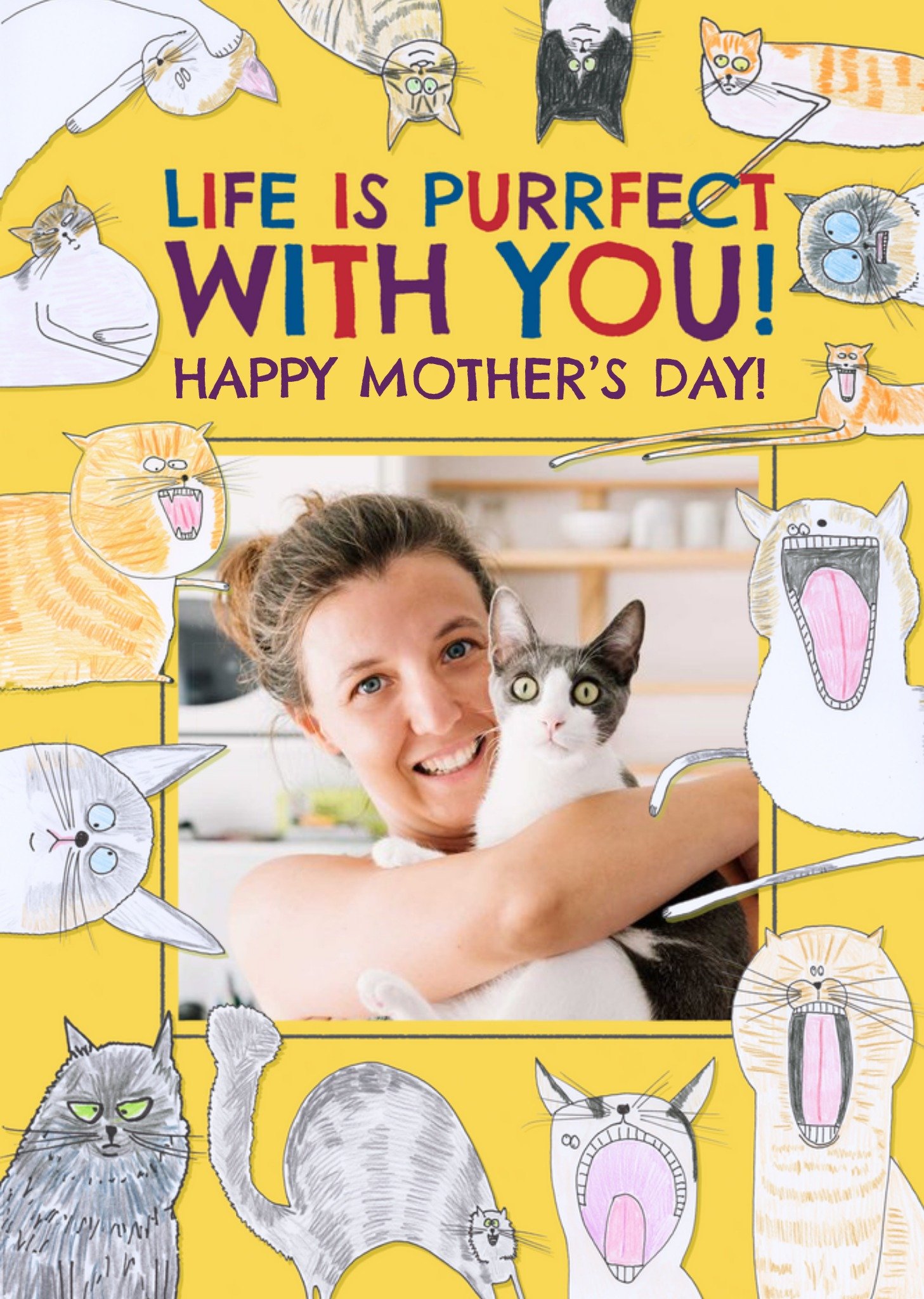 Hercule Van Wolfwinkle Quirky Illustrations Of Cats Humorous Photo Upload Mother's Day Card