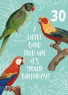 Natural History Museum A Little Bird Told Me It Was Your Birthday 30th Birthday Card