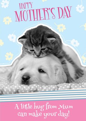 Mother's Day Card - cute card - animals