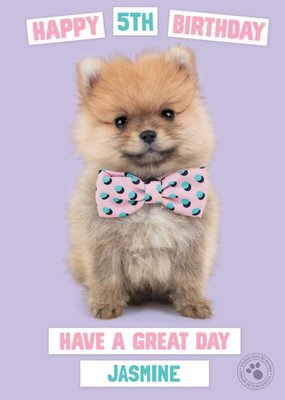 Studio Pets Birthday Card Pomeranian Puppy with a Bow-tie