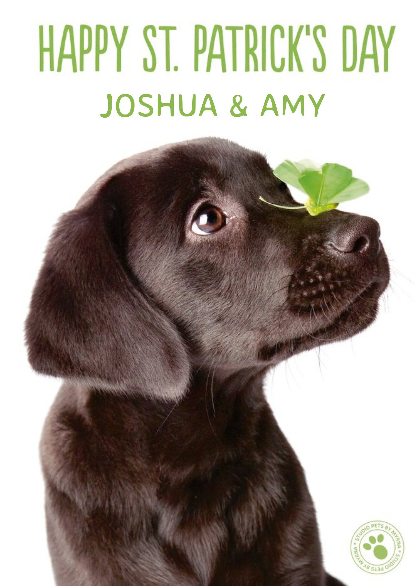 Studio Pets Puppy Happy St Patrick's Day Card Ecard