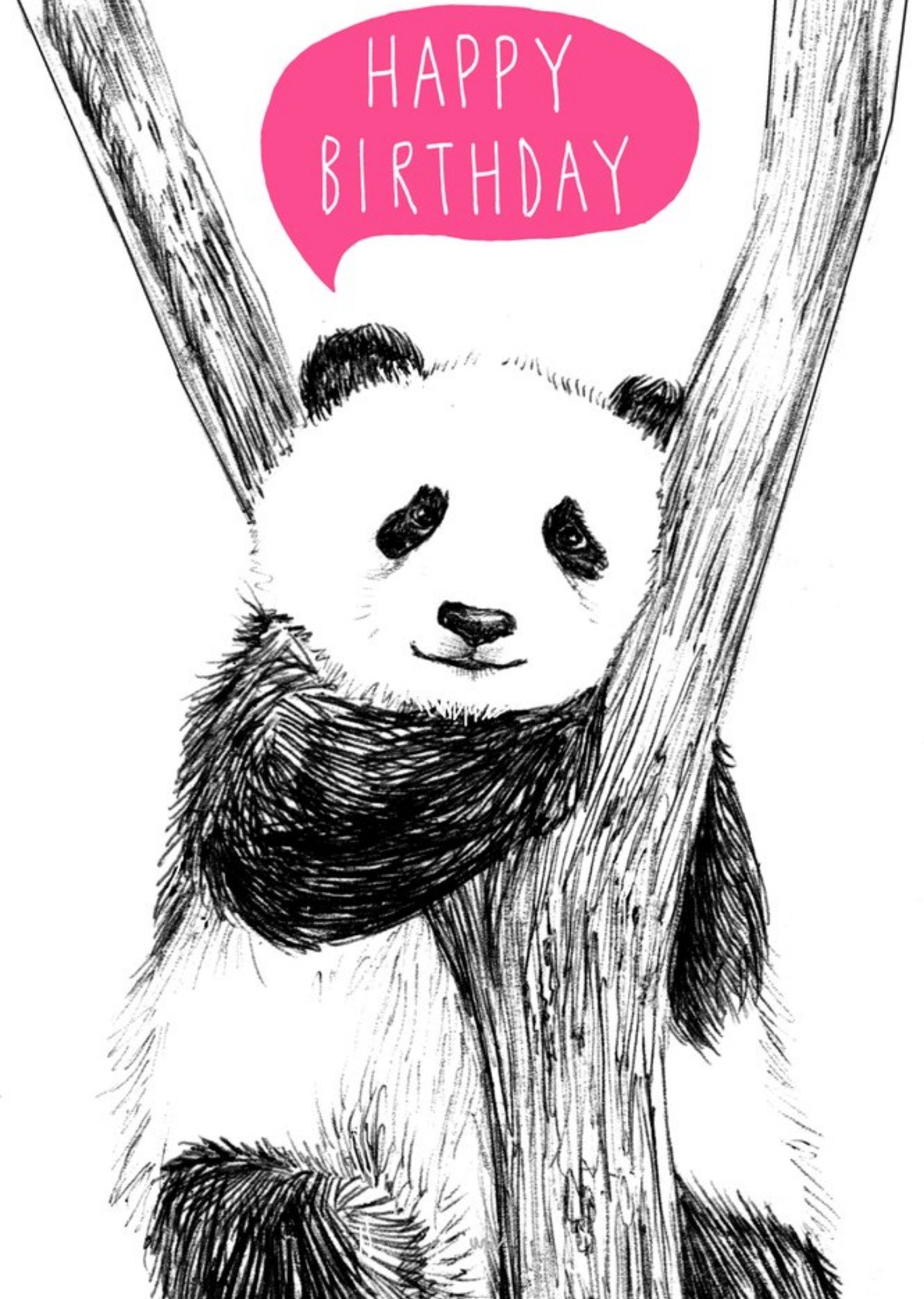Moonpig Happy Birthday Panda Card, Large