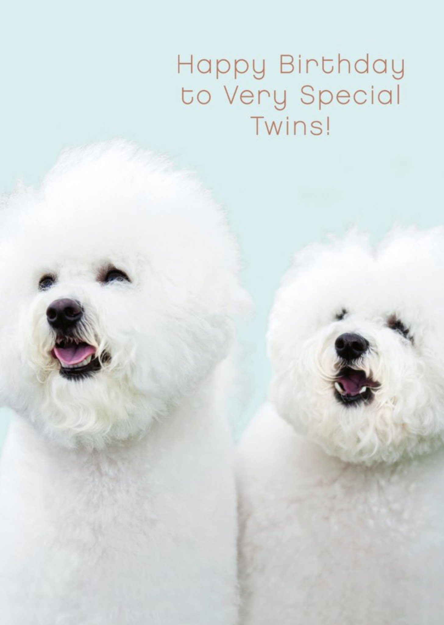 Moonpig Uk Greetings Carlton Cards Dogs Cute Special Twins Birthday Card, Large