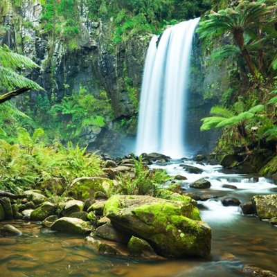 Moonpics Photographic Rainforest Waterfalls Scenery Australia Card