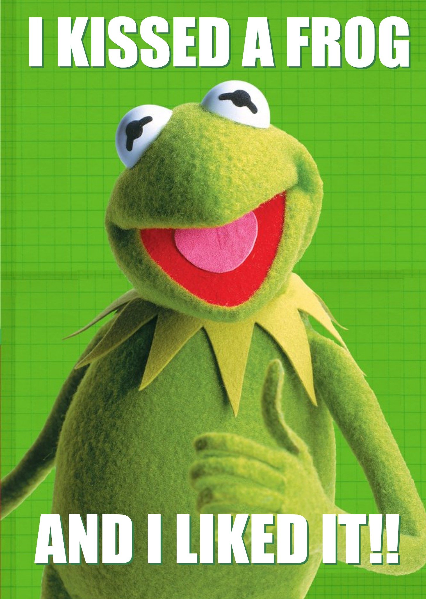 Disney The Muppets I Kissed A Frog And Liked It Funny Valentines Day Card