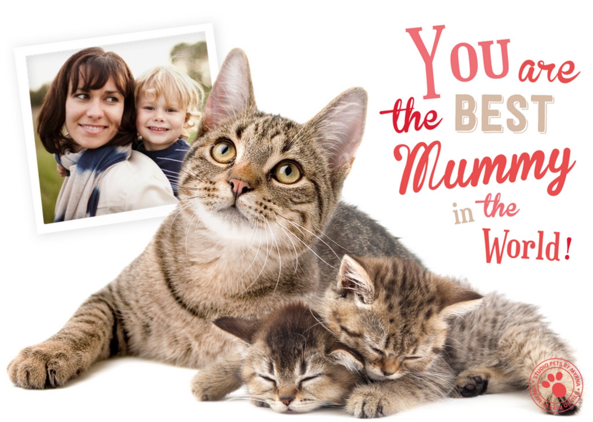 Studio Pets Mother's Day Card - Best Mummy In The World - Cat With Kittens - Photo Upload Card