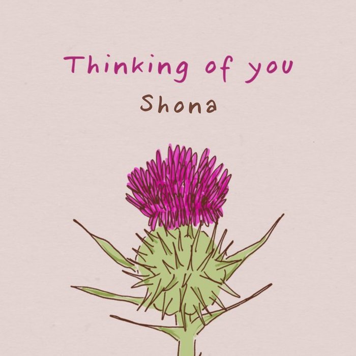 Flora Simple Illustrated Scottish Thistle Thinking Of You Card