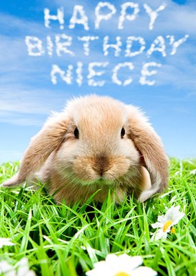 Limelight Personalised Niece Rabbit Birthday Card