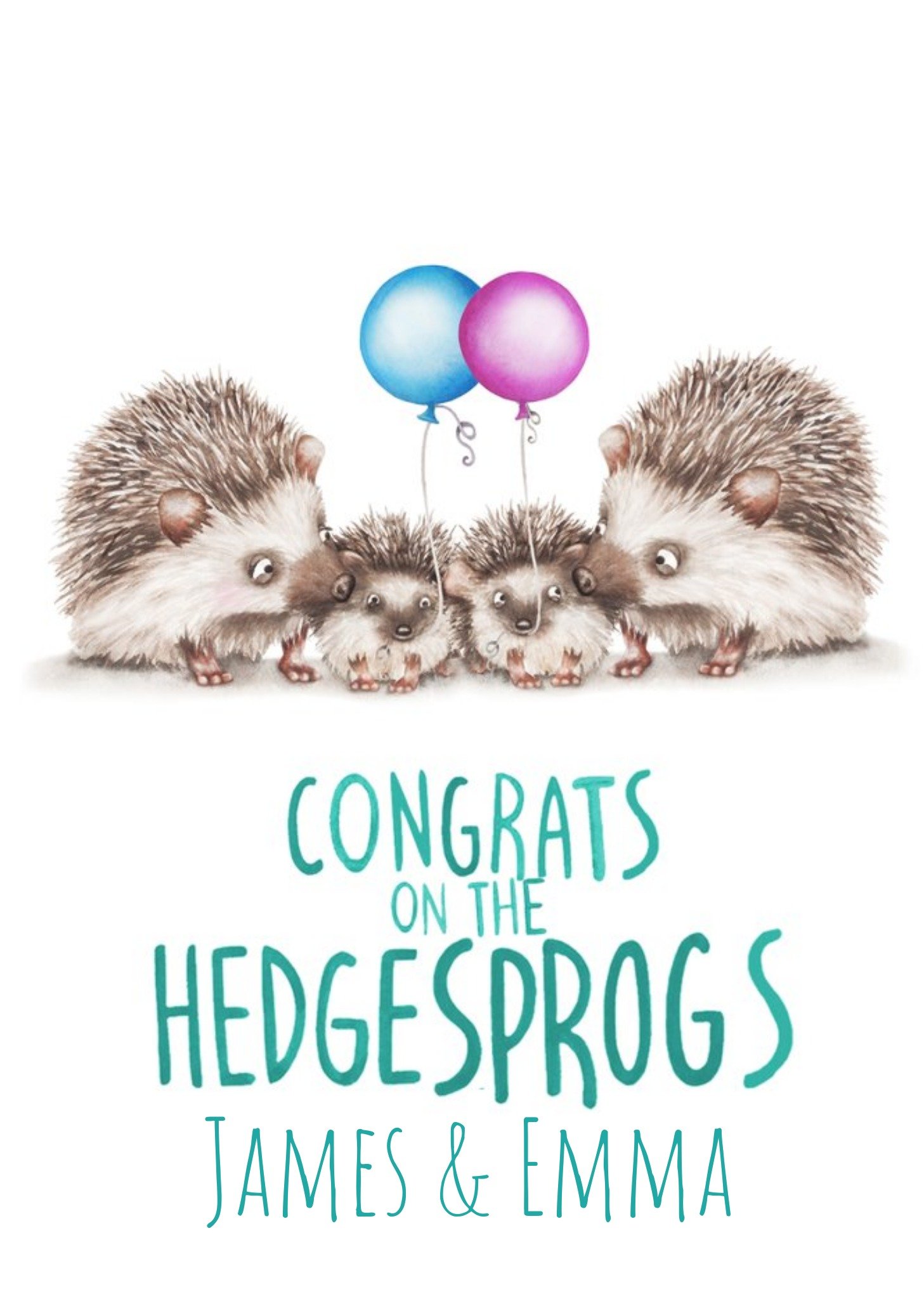 Cute Illustrated Family Of Hedgehogs Congratulations Card