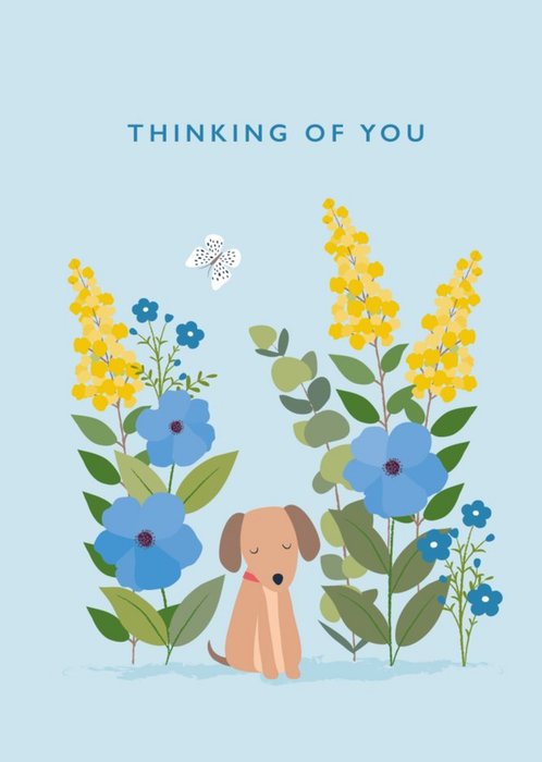 Klara Hawkins Thinking of You Dog Card | Moonpig