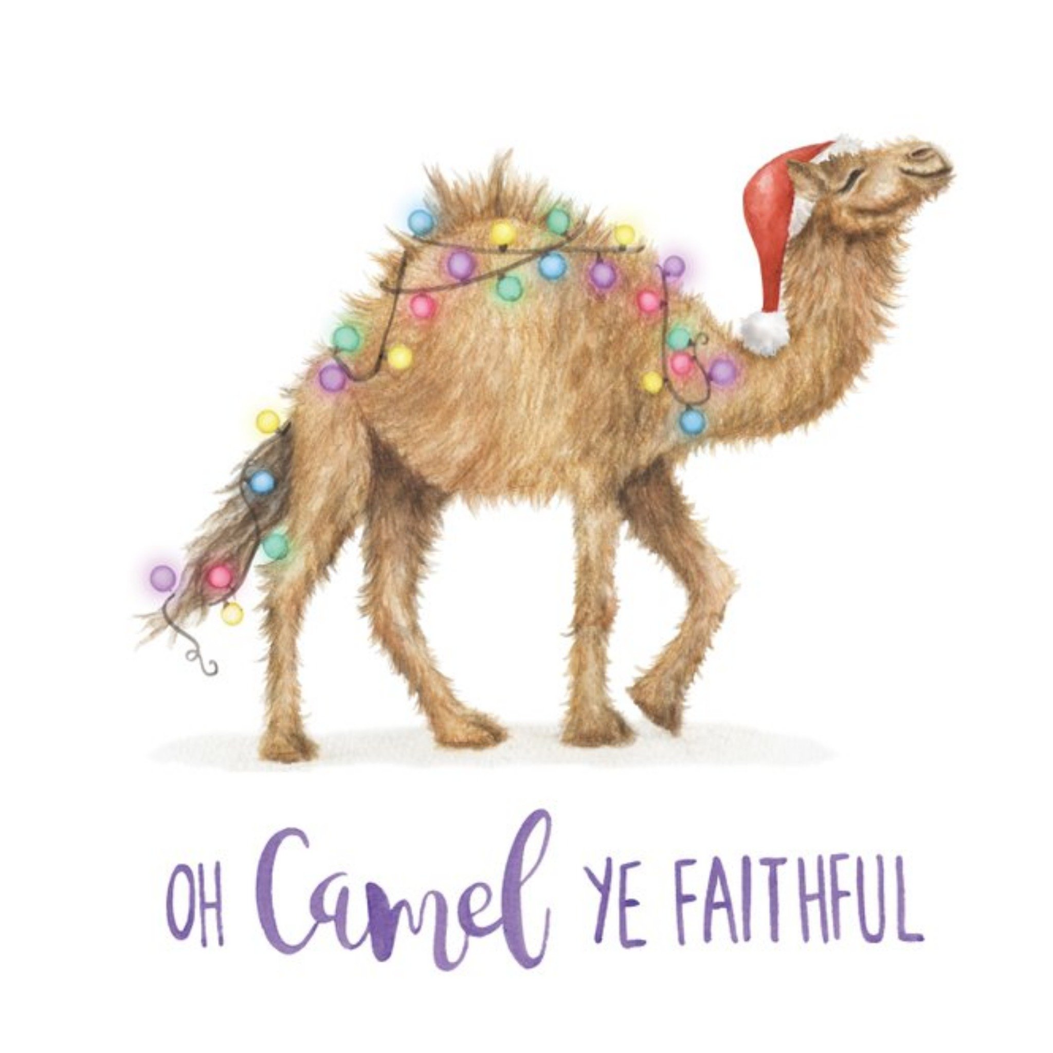 Moonpig Oh Camel Ye Faithful Pun Christmas Card, Large