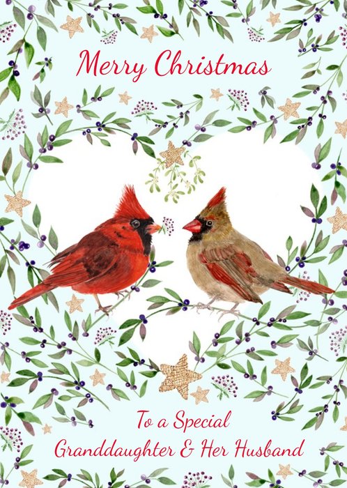Illustration Of A Pair Of Cardinals Perched Among Mistletoe Merry Christmas Card