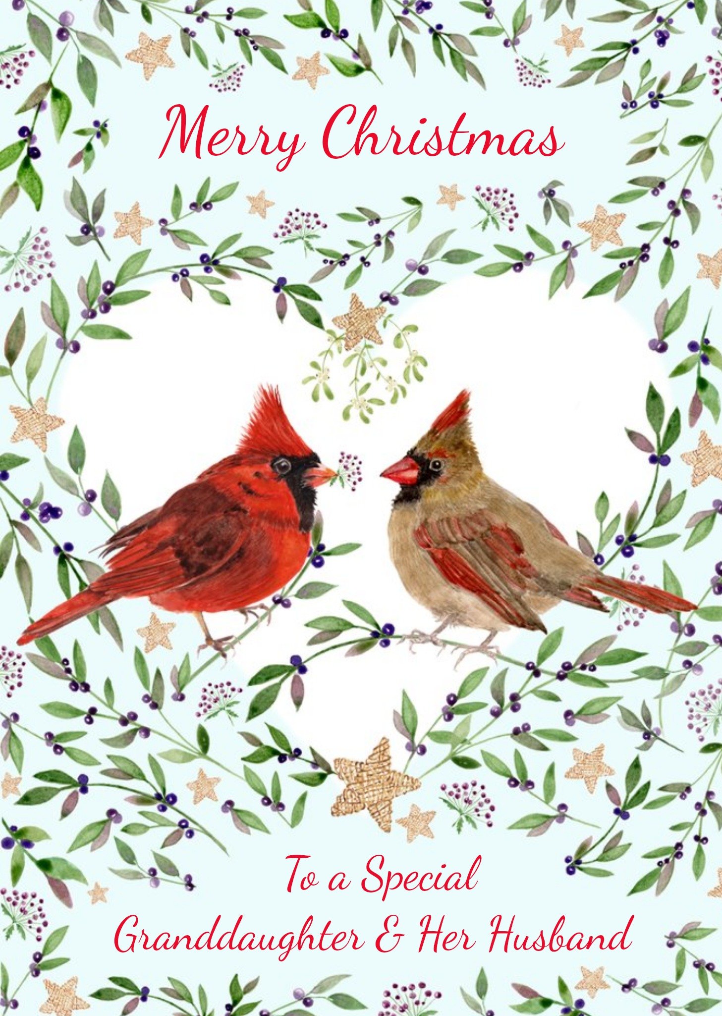 Illustration Of A Pair Of Cardinals Perched Among Mistletoe Merry Christmas Card