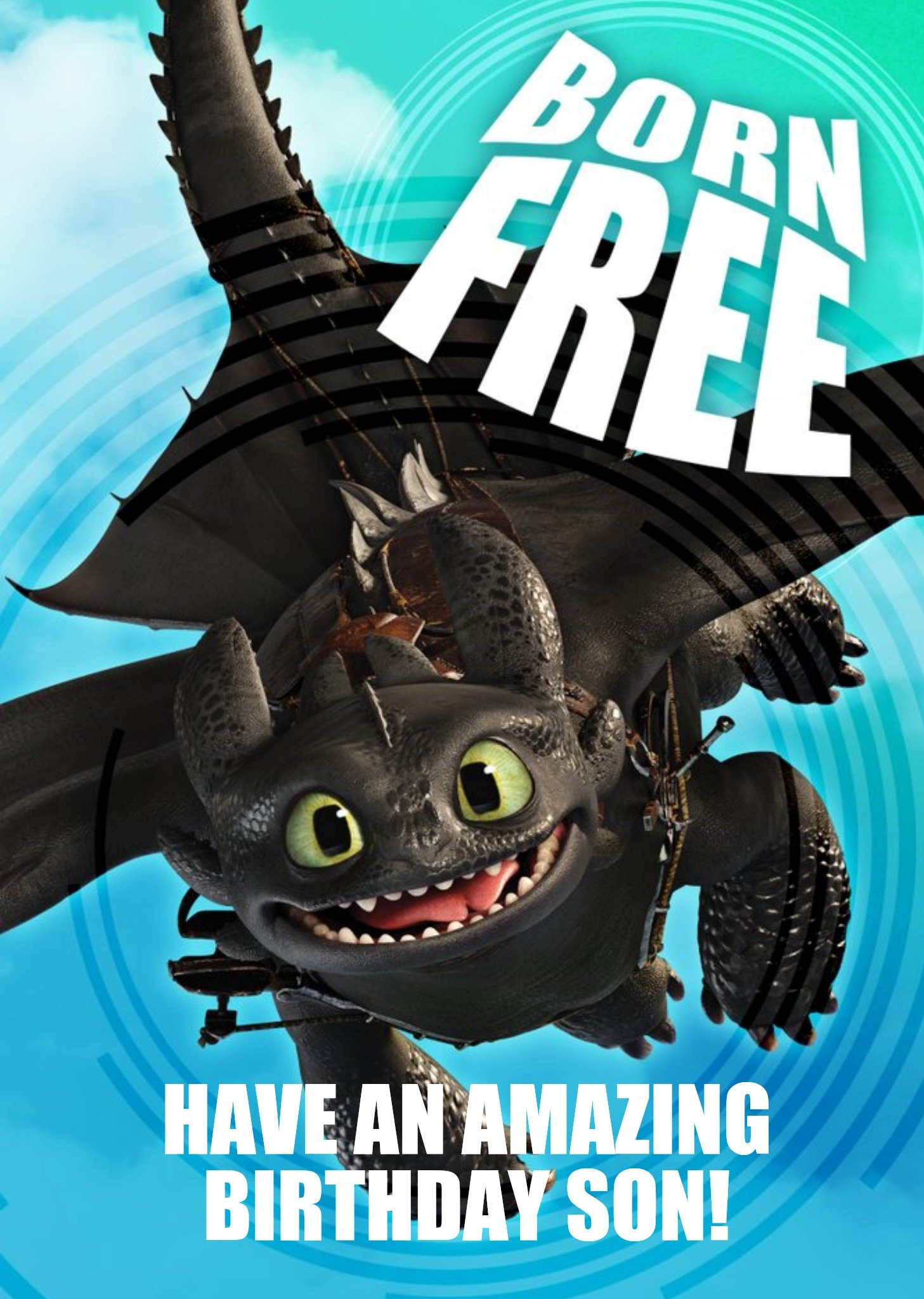 Other Born Free - How To Train Your Dragon Birthday Card, Large