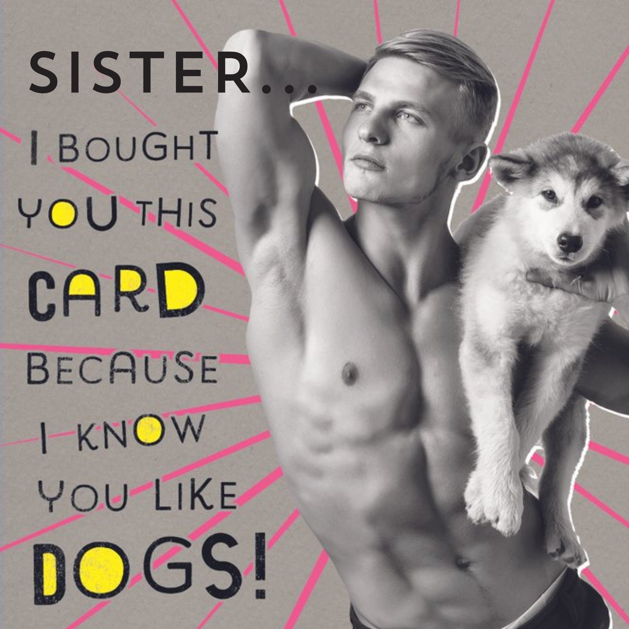Moonpig Birhday Card - Sister - Photo Humour - Dogs, Square