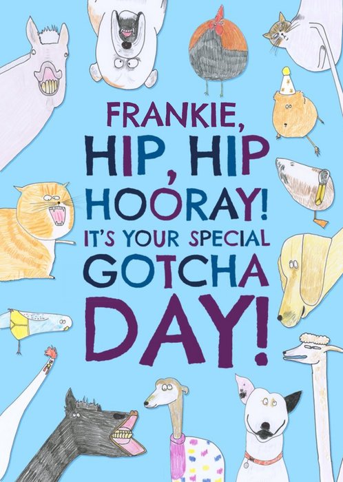 Funny Pet Illustrations Hip Hip Hooray It's Your Gotcha Day Card