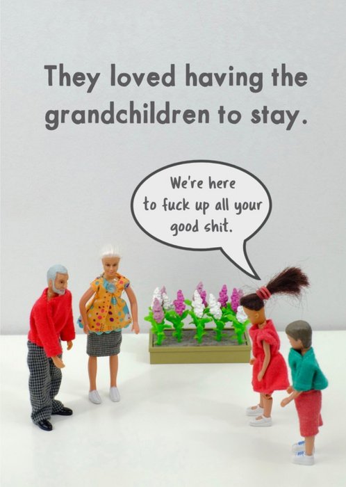 Funny Rude dolls they loved having the grandchildren to stay Card