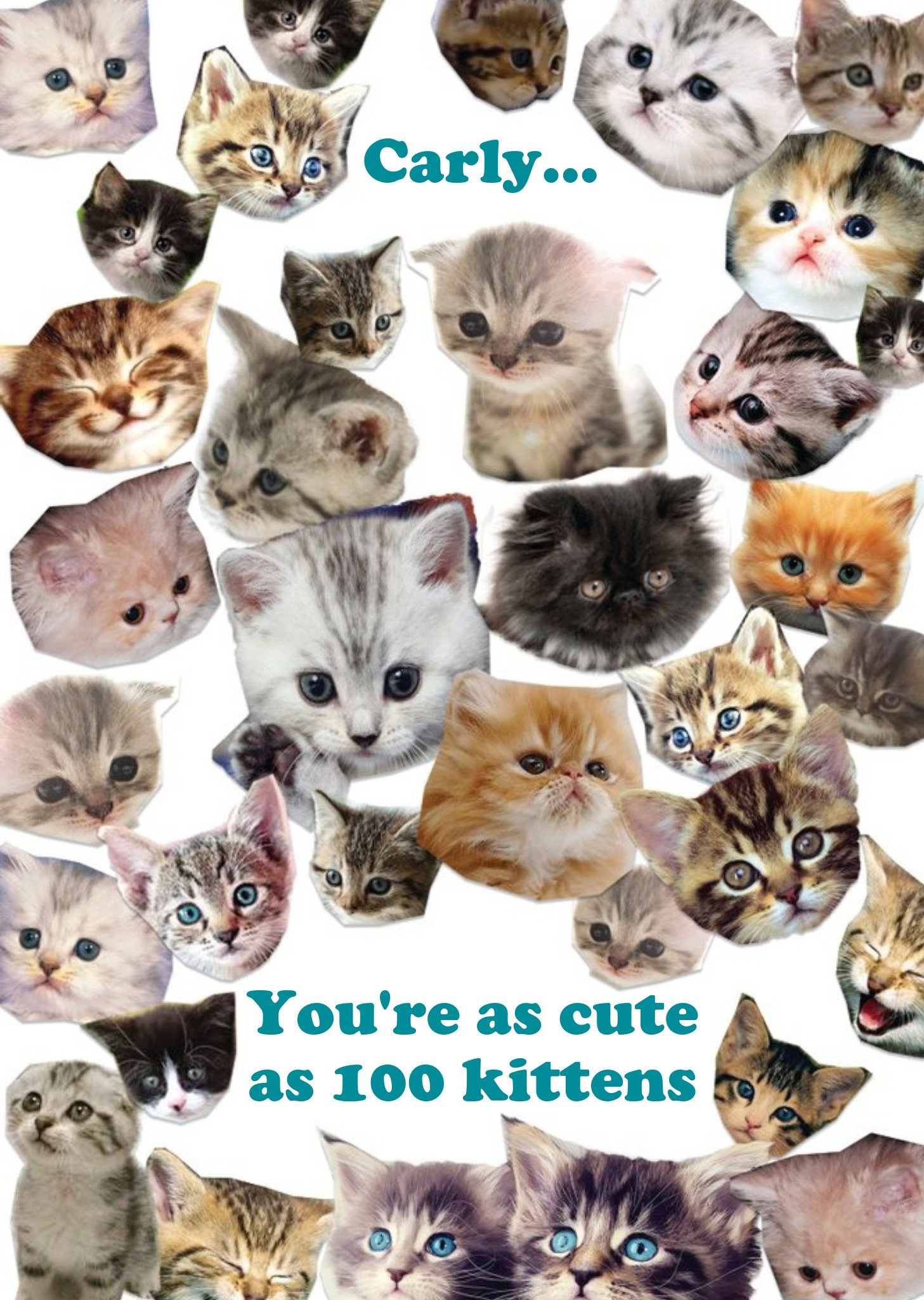 You're As Cute As 100 Kittens Personalised Happy Birthday Card Ecard