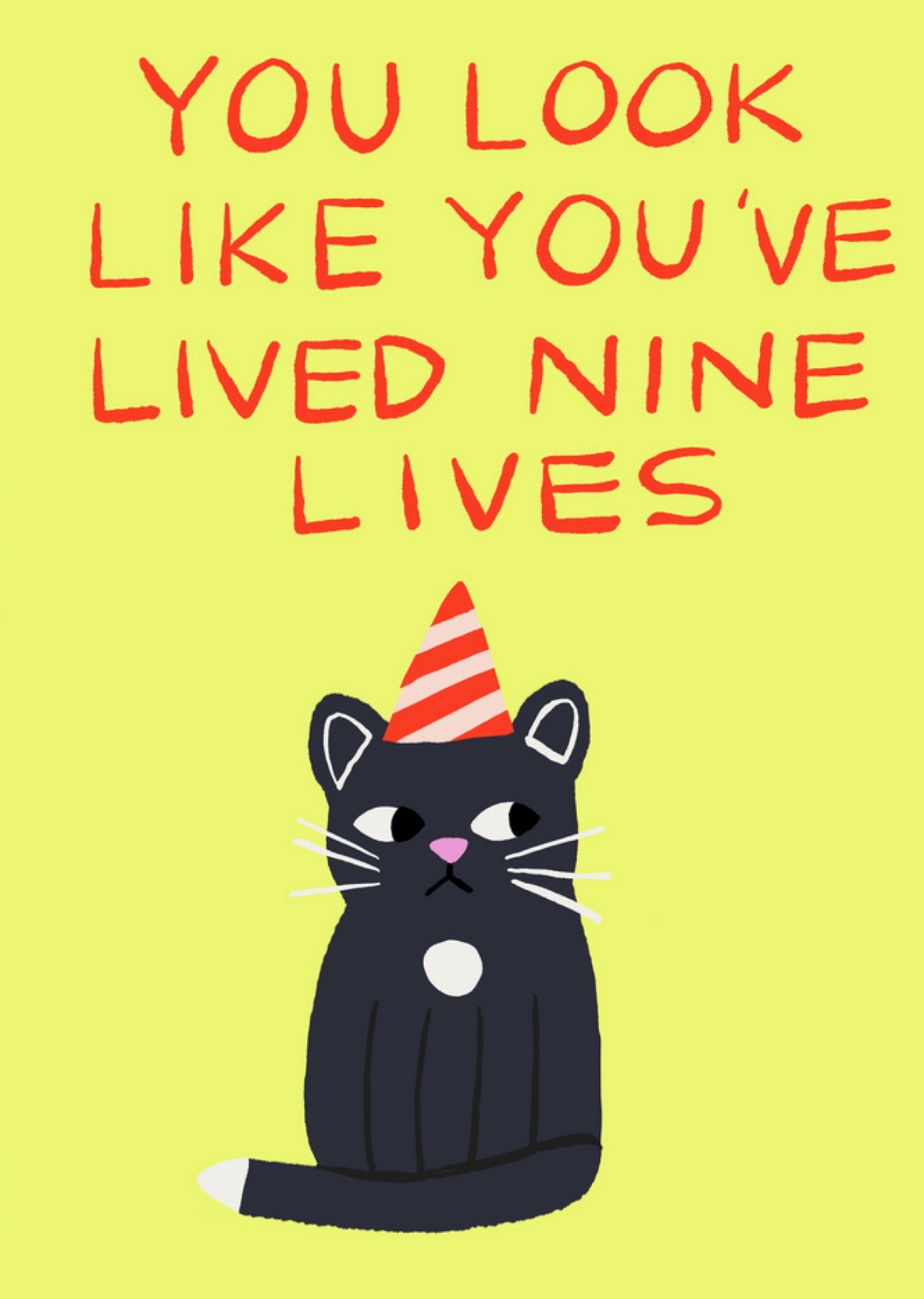 Jolly Awesome You Look Like You've Lived Nine Lives Birthday Card, Large