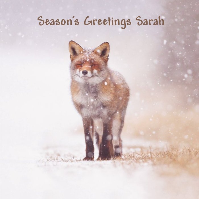 Fox In The Snow Personalised Square Christmas Card
