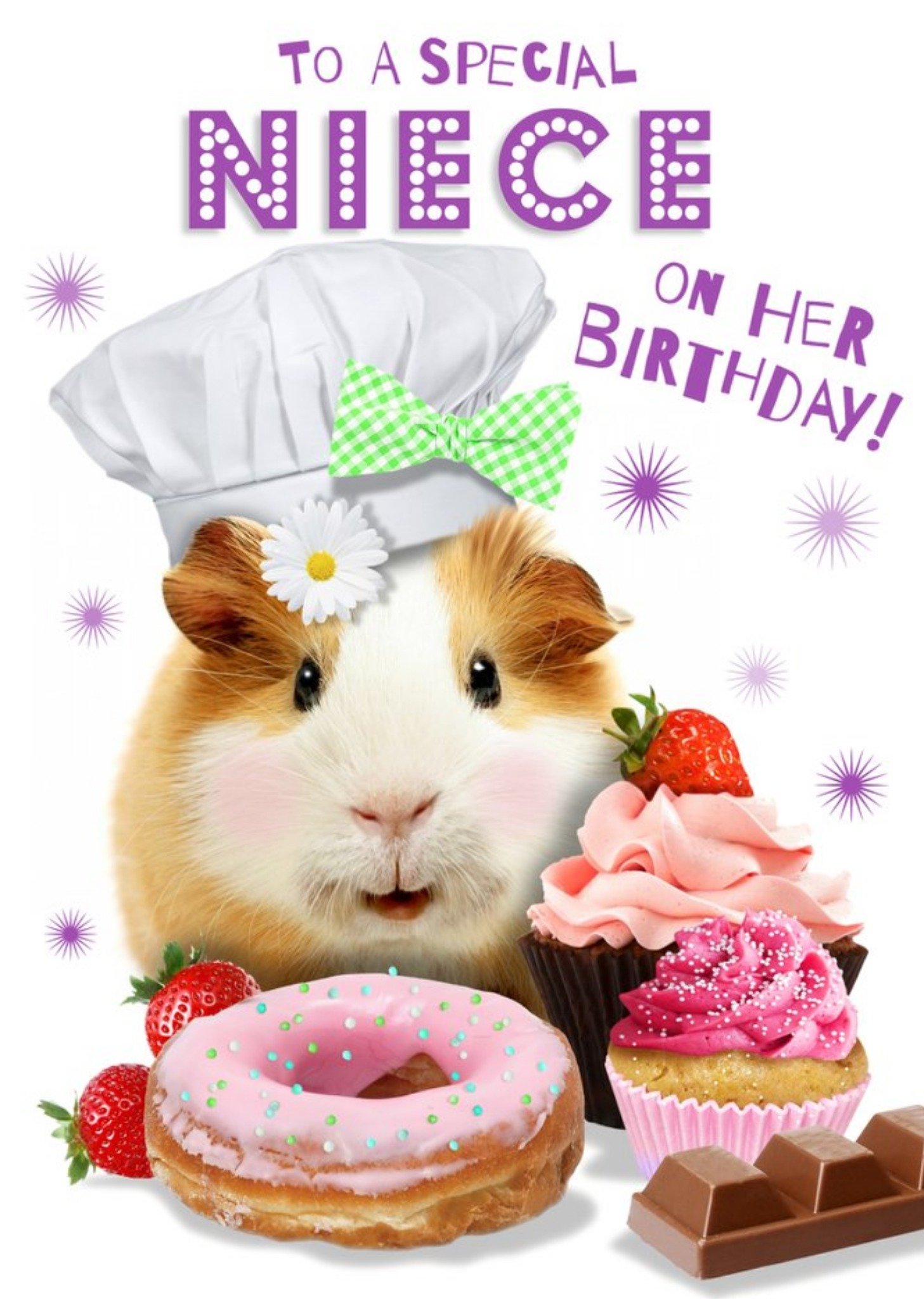 To A Special Niece Cute Guinea Pig Birthday Card Ecard