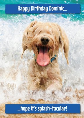 Dog At The Beach Hope Its Splash-Tacular Birthday Card