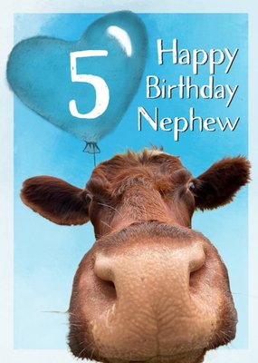 Alex Sharp Photography Of Cow Male 5th Birthday Card