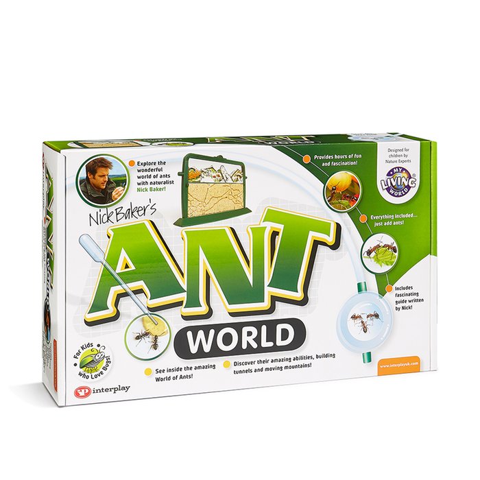 Ant World Kit