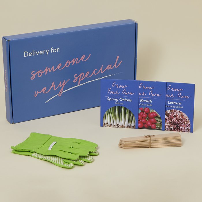 Letterbox Kid's Salad Gardner Gift Moonpig