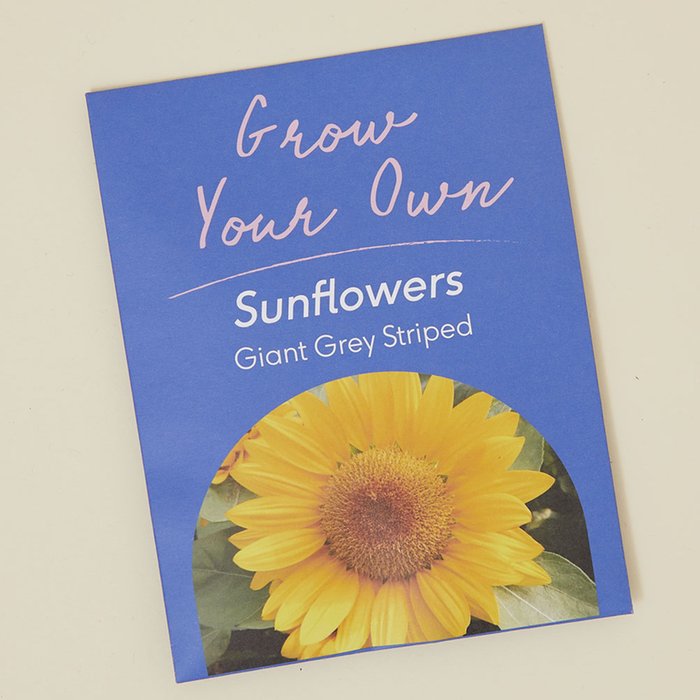 Letterbox National Trust Kid's Tools and Gloves Gift Set Moonpig