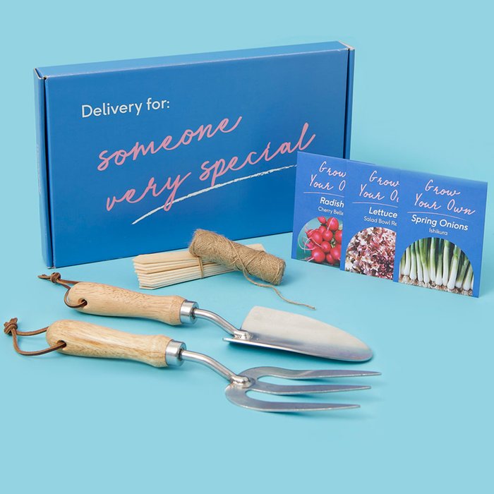 Letterbox Salad Seeds and Tools Gift Set