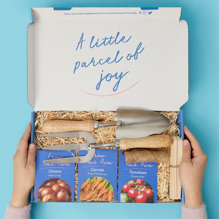 Letterbox Vegetable Seeds and Tools Gift Set Moonpig