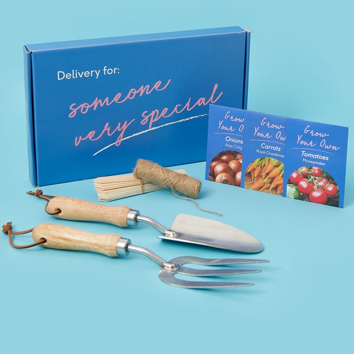 Letterbox Vegetable Seeds and Tools Gift Set
