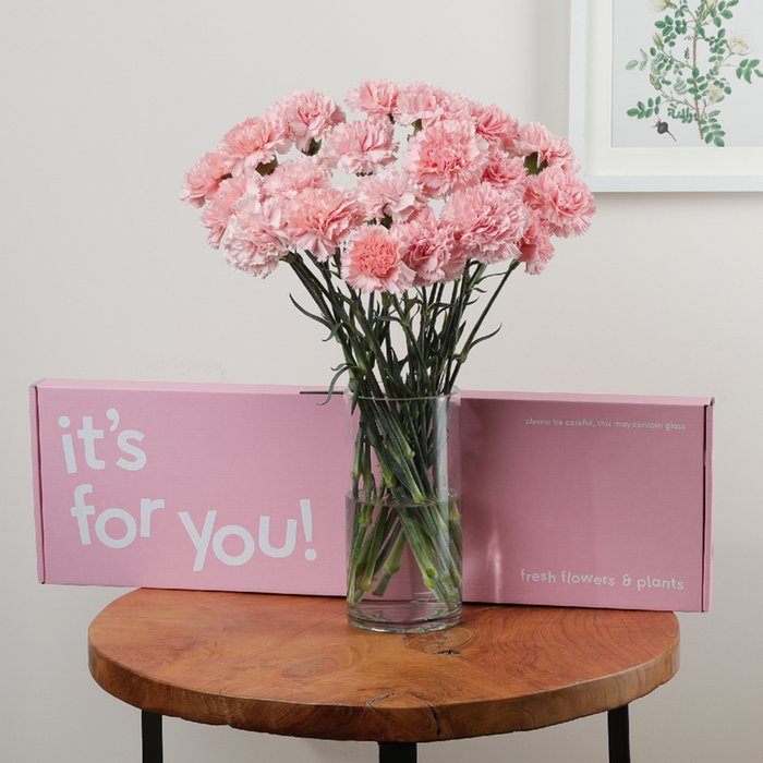 The Letterbox Pink Carnations