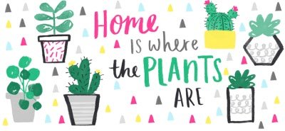 Birthday mug - home is where the plants are - succulents and cacti