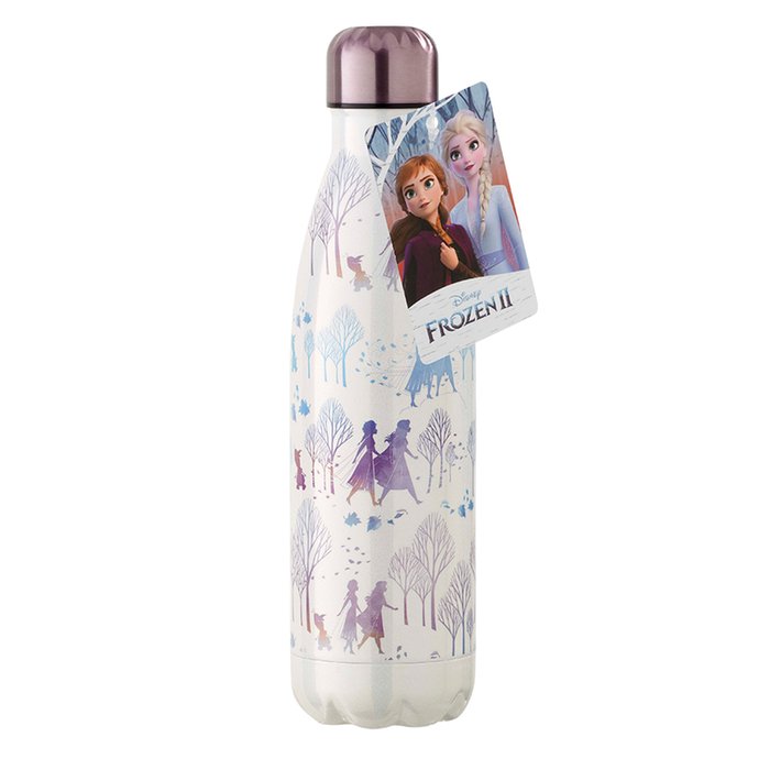 Frozen 2 Water Bottle: Anna & Elsa