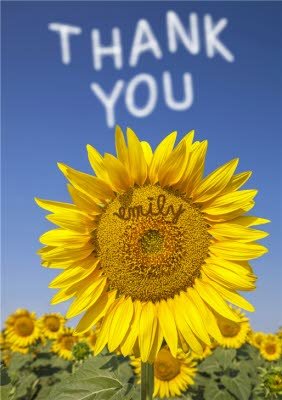 Personalised Text Thanks You Sunflower Postcard